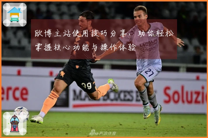 欧博主站使用技巧分享，助你轻松掌握核心功能与操作体验