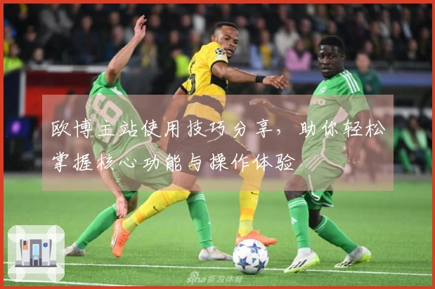 欧博主站使用技巧分享，助你轻松掌握核心功能与操作体验