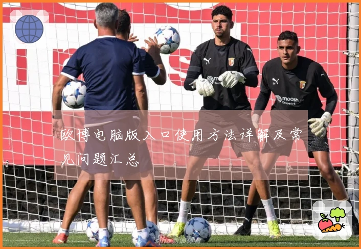 欧博电脑版入口使用方法详解及常见问题汇总